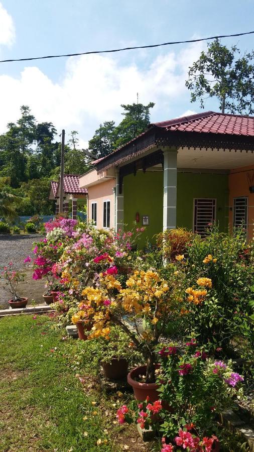 Dhia Irdina Homestay Paya Rewak Екстер'єр фото
